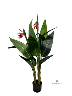 Planta Sterlizia o Flor de Pajaro 110 cm