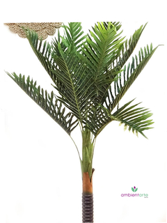 Planta Palmera 150 cm