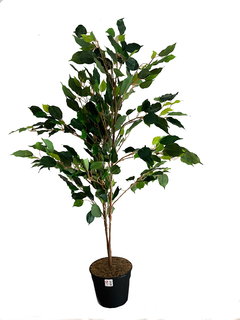 Arbol de Ficus de 120 cm