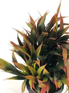 Maceta con Pasto de Colores 8x25 cm - comprar online
