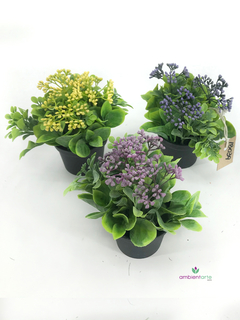 Macetas Silvestres - comprar online