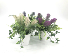 Maceta con Lirio 8x25 cm - comprar online