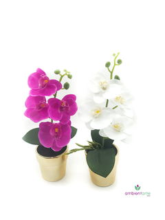 Maceta con Orquídea 8x35 cm