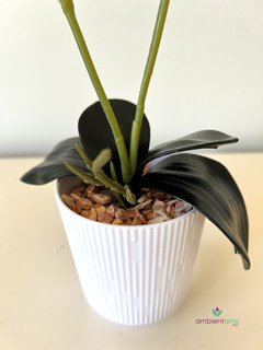 Maceta con orquidea 10x30 cm en internet