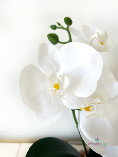 Maceta con Orquídea 10x35 cm - ambientartedeco
