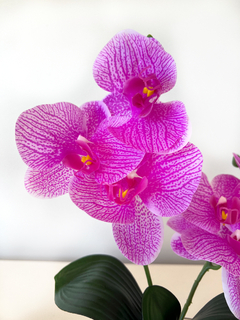 Maceta con Orquídea 10x35 cm - tienda online