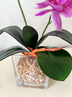 Maceta con Orquídea 10x35 cm en internet