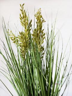 Maceta con espiga 10x45 cm - comprar online