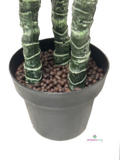 Planta Dracena 160 cm en internet