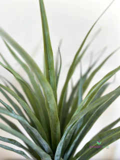 Planta Dracena de 96 cm - comprar online