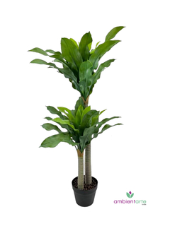 Planta Dracena 115 cm - comprar online