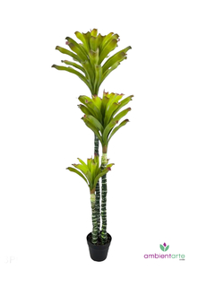 Planta Dracena 150 cm - comprar online