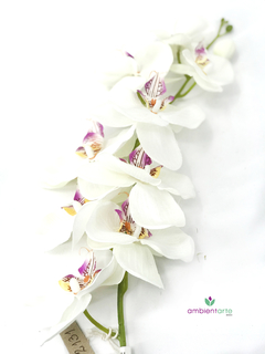 Vara de Orquidea 100 cm - tienda online