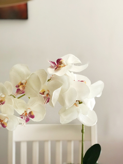 Maceta con Orquídea 10x45 cm - ambientartedeco
