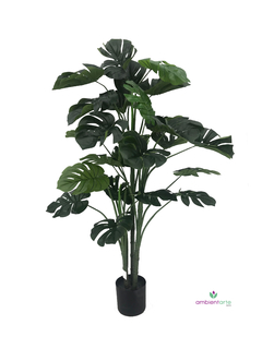 Planta Monstera o Costilla de Adán 125 cm