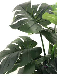 Planta Monstera o Costilla de Adán 125 cm - comprar online