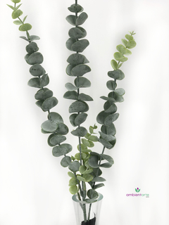 Vara de Eucalipto 70 cm - comprar online