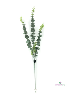 Vara de Eucalipto 70 cm