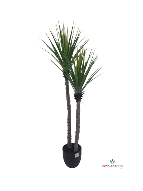 Planta de Yuka x2 Troncos 125 cm