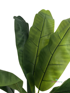 Planta de Banano- Nicolai de 180 cm en internet