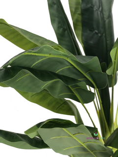 Planta de Banano- Nicolai de 200 cm - tienda online
