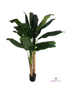 Planta de Banano- Nicolai de 200 cm - comprar online