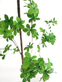 Planta de Ginko 150 cm - comprar online