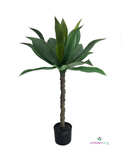 Planta Cornucopia 90 cm - comprar online