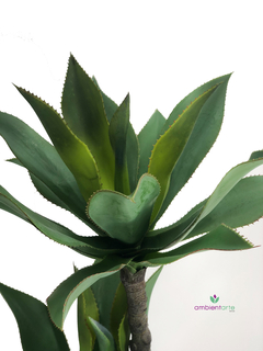Planta Cornucopia 90 cm en internet