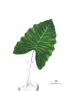 Hoja de Alocasia 50 cm