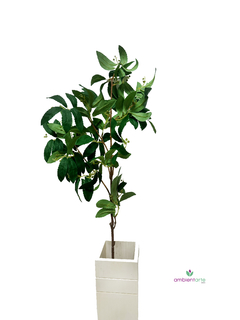 Vara de Olivo con Frutos 90 cm