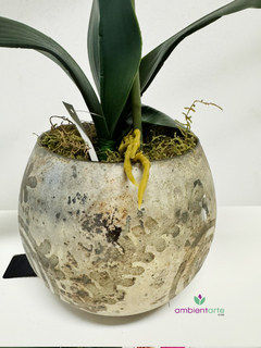 Maceta con orquidea 12x45 cm - ambientartedeco
