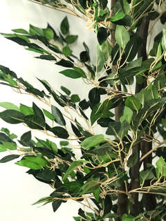 Árbol de Ficus 190 cm - comprar online