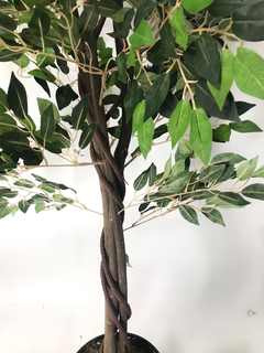 Árbol de Ficus 190 cm en internet