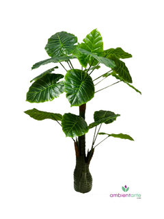 Planta Caladiun u oreja de elefante 0 Philodendro con base de 110 cm - comprar online