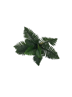 Planta Helecho 40 cm - comprar online