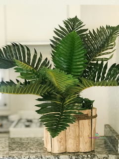 Planta Helecho 40 cm en internet