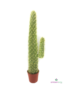 Cactus de 100 cm