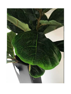 Arbol Pandurata 130 cm en internet