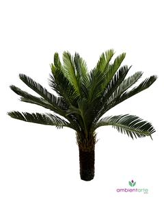 Areca Palmera Tropical 100 cm