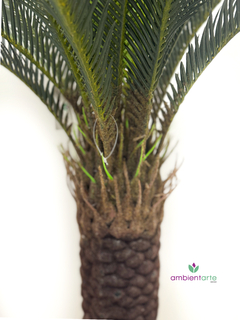 Areca Palmera Tropical 100 cm - comprar online