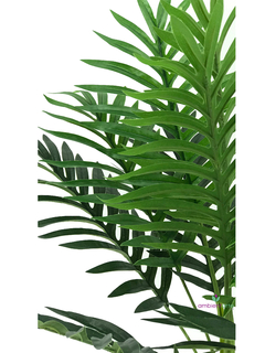 Planta Palmera Kenya 85 cm - comprar online