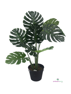 Planta Monstera o Costilla de Adán 90 cm
