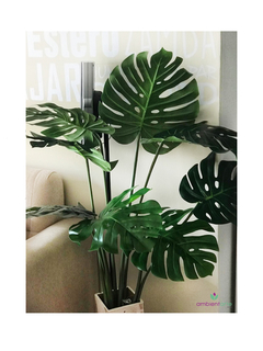 Planta Monstera o Costilla de Adán 90 cm - comprar online