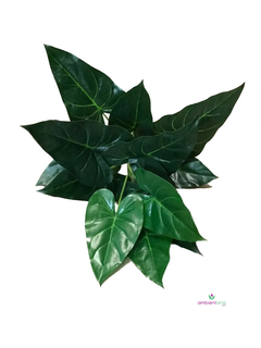 Planta Alocasia de 55 cm en internet