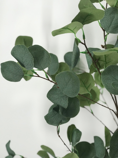Árbol de Eucalipto 85 cm en internet