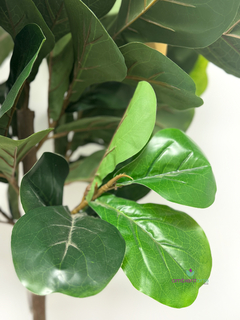 Arbol Pandurata 125 cm - comprar online