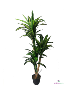Planta Palo de Agua x3 Troncos 185 cm