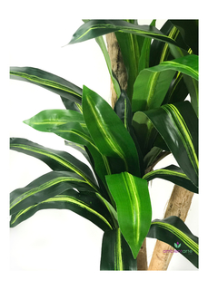 Planta Palo de Agua x3 Troncos 185 cm - comprar online