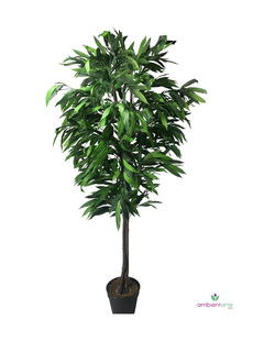 Arbol de Mango con tronco natural 205 cm
